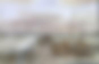 A fresh wind leaving Macduff (preview)