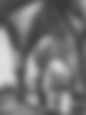 Figures before the Doges Palace, Venice (preview)