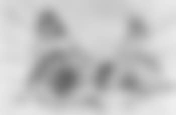 Two seated nudes (preview)