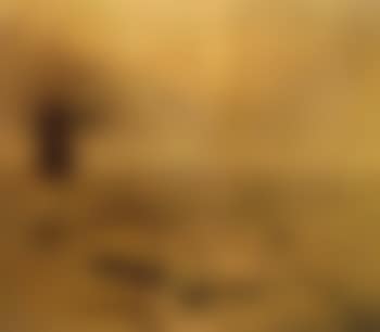 Partridge shooting (preview)