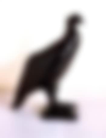Condor (preview)
