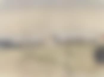 Dunes a St. Idesbald (preview)