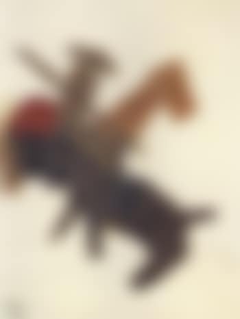 Le picador (preview)