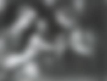 Mystic Marriage of St Catherine (preview)