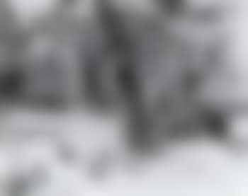 Farmyard (preview)
