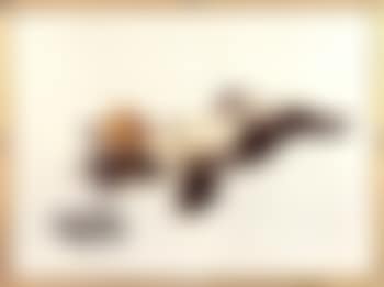 Temptation (preview)