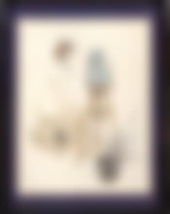 Beauty and the bust (preview)