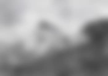 Wolfendom an der Firchengranger Landfuhrung (preview)
