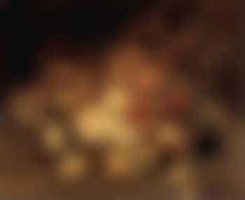 Roses, daisies and other flowers (preview)