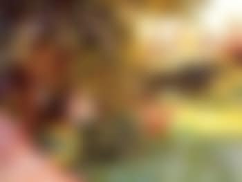 Le petit jardin (preview)