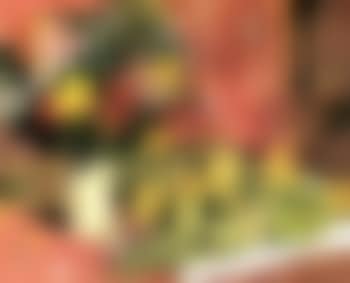 Fleurs et fruits (preview)