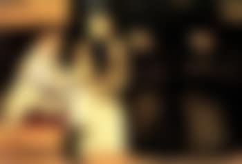 Le discoureur (preview)