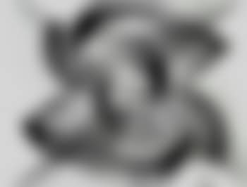 Motogirante (preview)