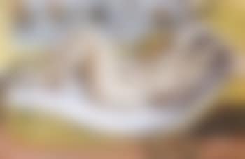 Nu au canape jaune (preview)