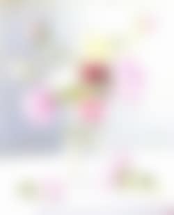 Vase de roses (preview)