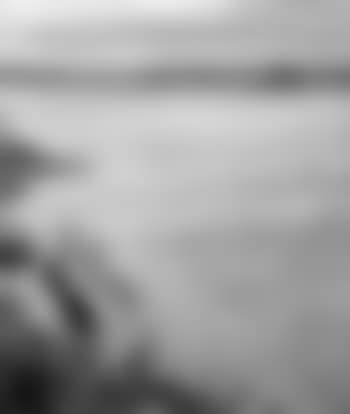 View of Mousehold (preview)