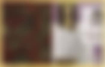 Untitled (preview)