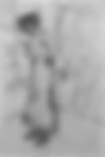 Modele dans l'atelier (preview)