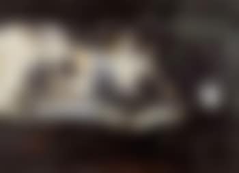 Fleurs et feuilles (preview)