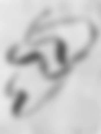 Annabelle nue (preview)