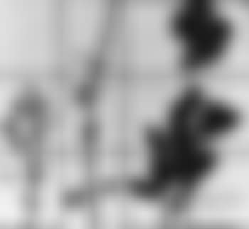 Four plants, 1980 (preview)