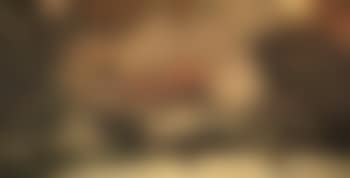 The odalisque (preview)