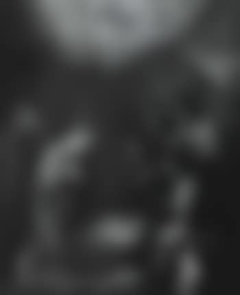 Adoration of the Shepherds (preview)