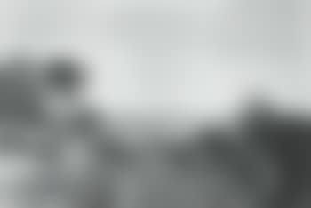 The farmer's return (preview)