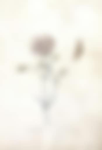 Disoir Amoureus (preview)