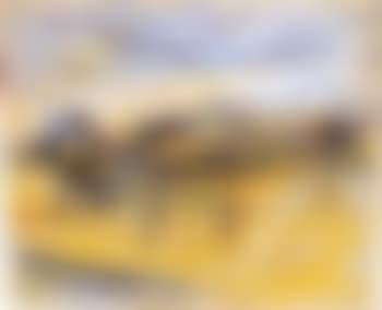 Study for Primrose Hill I (preview)