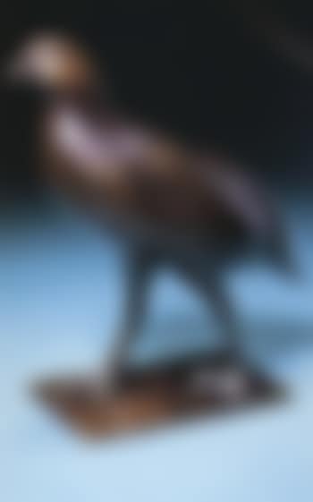 Patridge (preview)