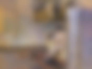 Dans l'atelier de Bonnard, 60 rue Douai, Nu au paravent (preview)