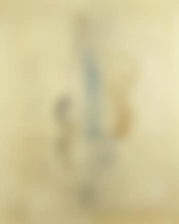Nature morte au Siphon (preview)