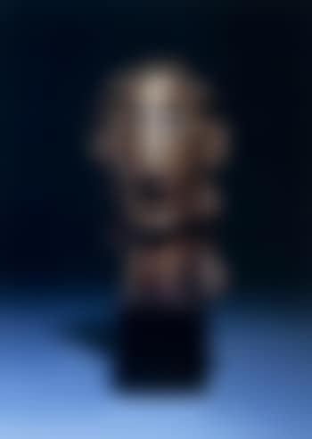 Femme aux cheveux longs (preview)
