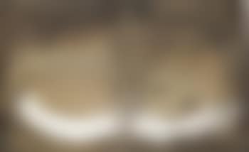 Two white marks on a Sienna background (preview)