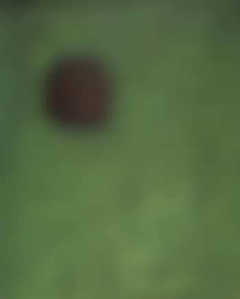 Concetto Spaziale (preview)