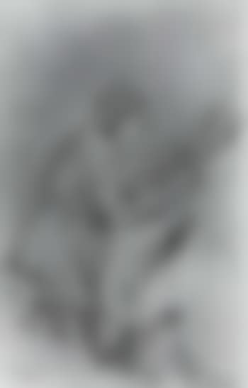The winners (preview)
