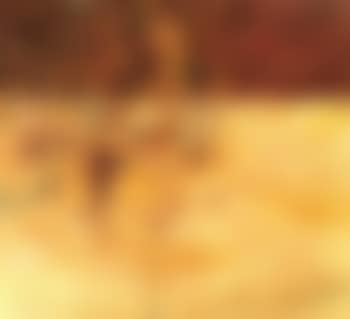 Where Wattle Stains the Doubting Heart (preview)