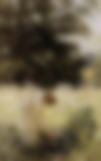 Marguerites (preview)