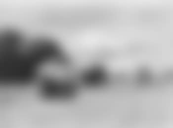 Harvest day (preview)