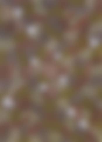 Corroboree 111 (preview)