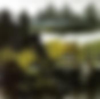 Landscape of early spring (preview)