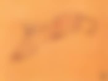 Leopards (preview)