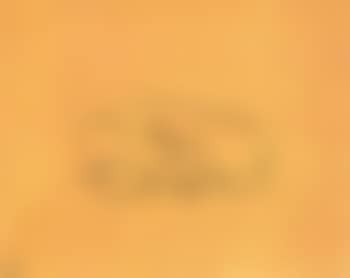 Doe (preview)