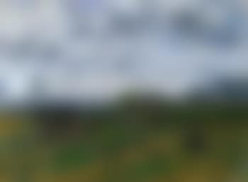 Paysage aux environs de Deauville. Vache dans un pre (preview)