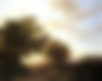 Rhine landscape (preview)