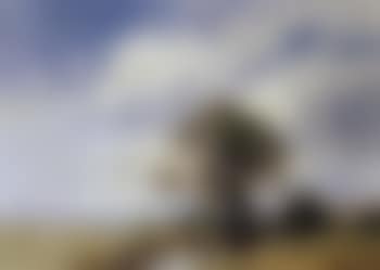 Spring day in Norfolk (preview)