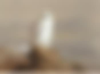 Green Falcon Gyr Falcon (preview)