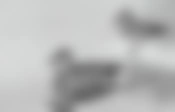 Baikal Teal (preview)