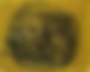 Berenice (preview)